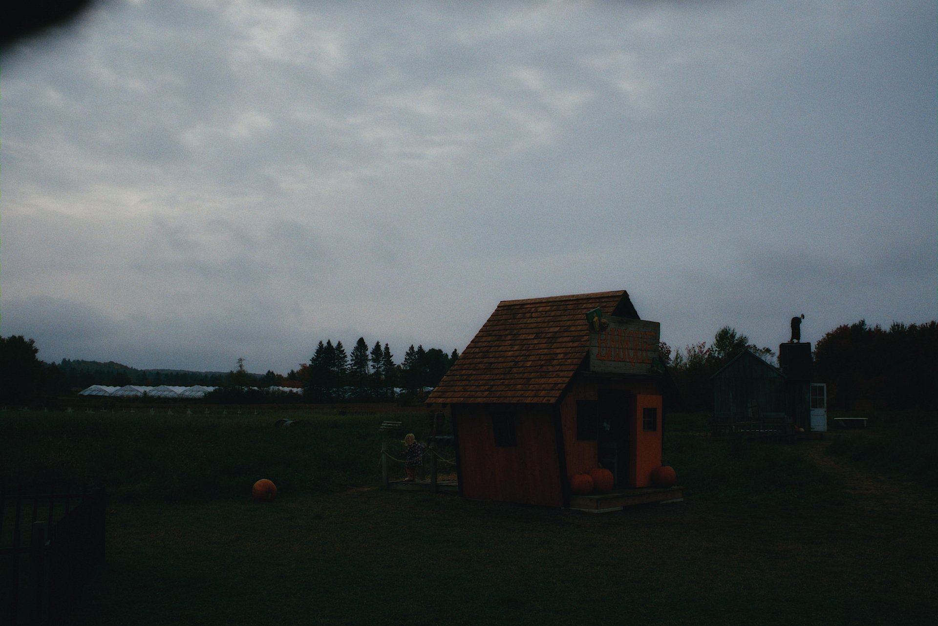 DSCF4191